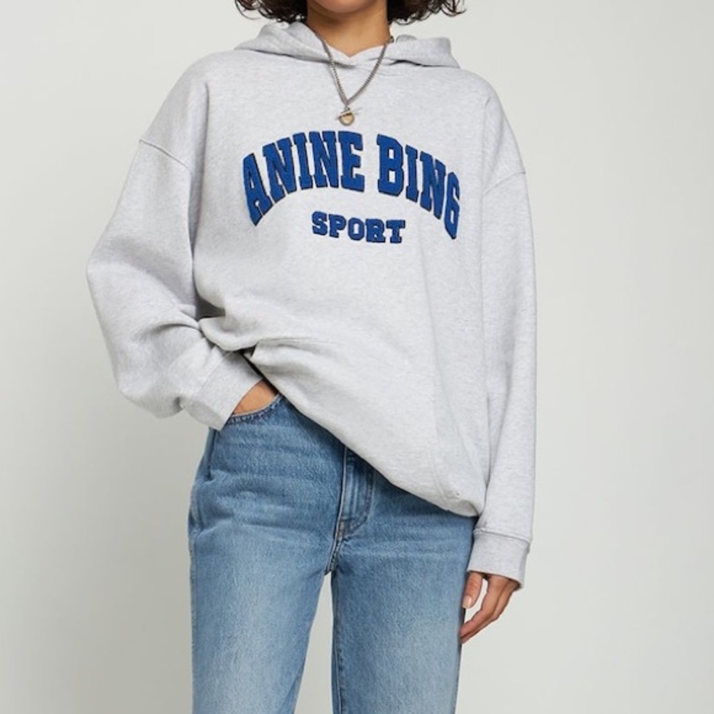Anine Bing Tyler Hoodie- heather grey/electric blue